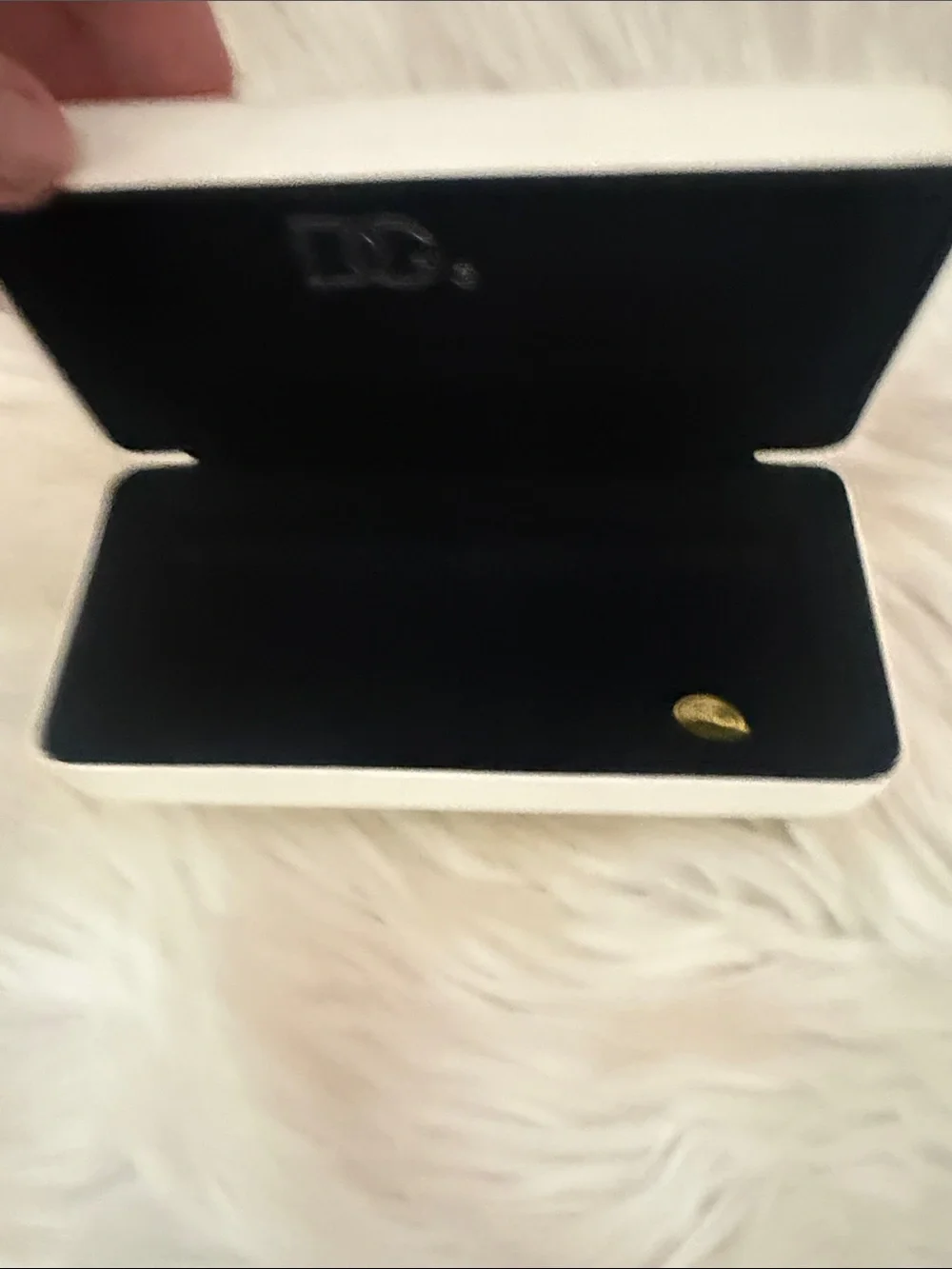Dolce & Gabbana Black and White Eyewear Case